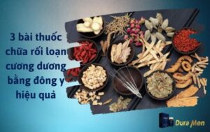 Bài thuốc chữa rối loạn cương dương bằng đông y