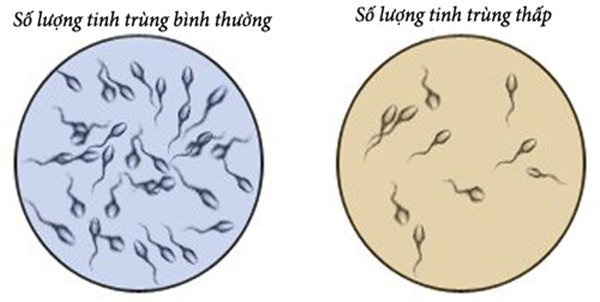 xuất tinh sớm thì tinh trùng có bị yếu không