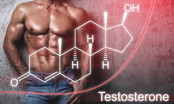 Testosterone quy định đặc trưng riêng của nam giới