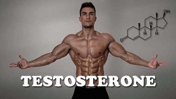 Vai trò của testosteron với sức khỏe sinh lý nam