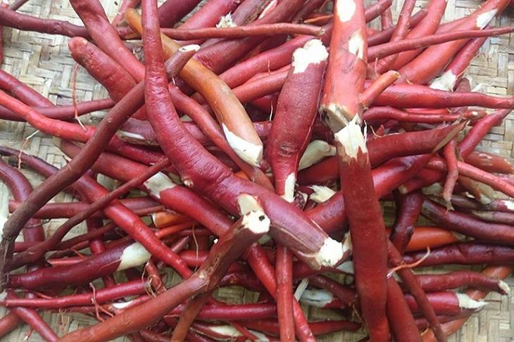 Rễ cau chữa yếu sinh lý nam