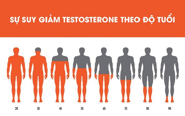 Sinh lý nam giới suy giảm theo độ tuổi