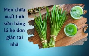Chữa xuất tinh sớm bằng lá hẹ